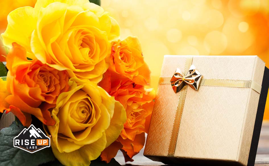 Free Gift in HD Wallpapers & Backgrounds!