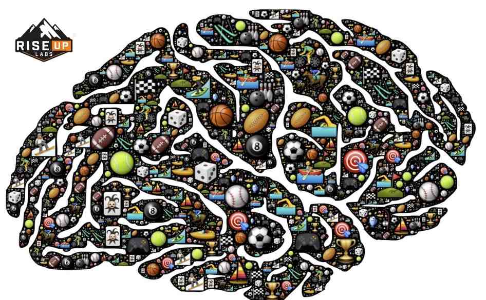 the image of a brain in animation