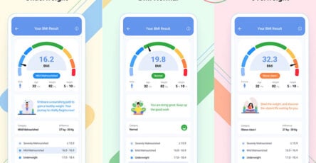 Digitalizing BMI Calculation Using BMI Calculator