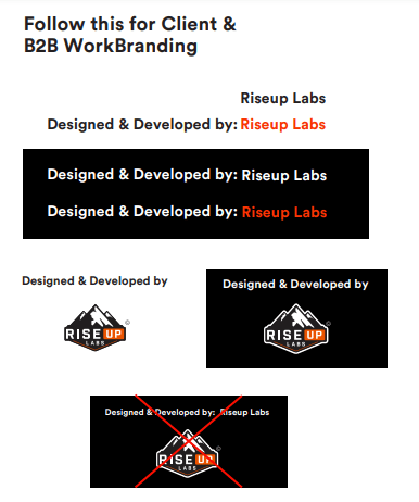 Client and B2B Work Branding Riseup Labs