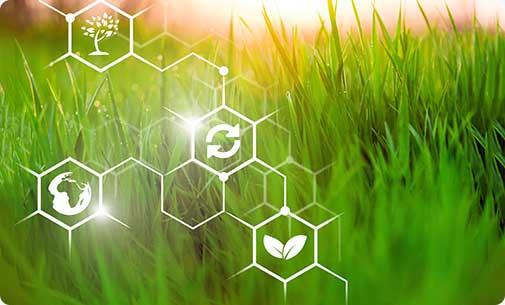 Google Cloud IoT Agriculture