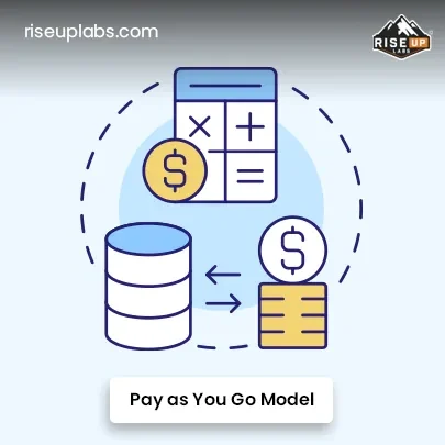Pay-as-You-Go Model