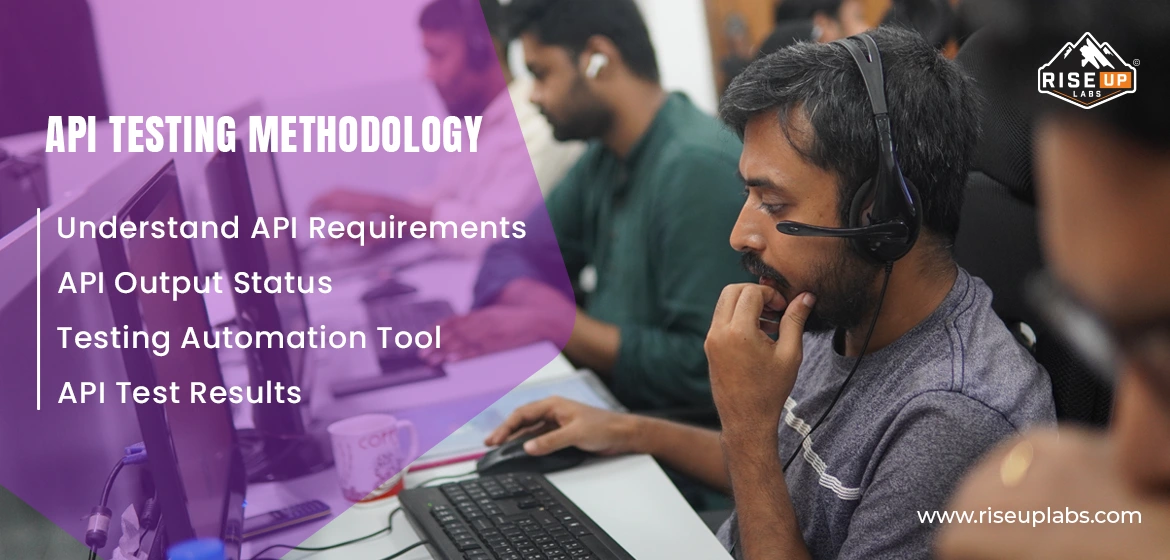 API Testing Methodology of Riseup Labs
