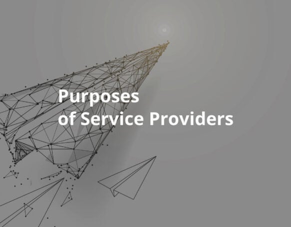 What is the purpose of a service provider