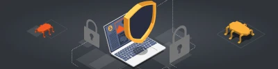 Vulnerability Management
