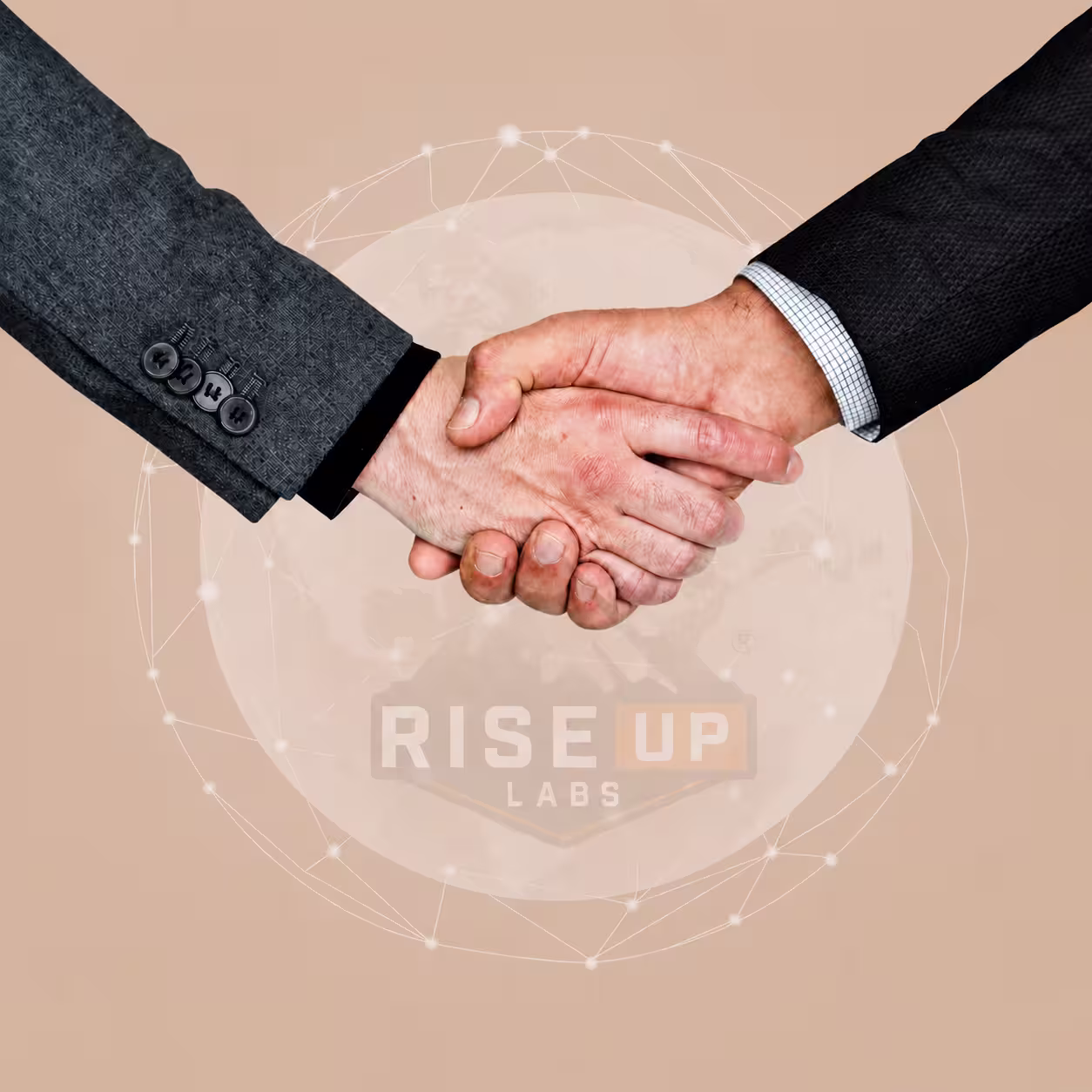partnership-opportunities-riseup-labs