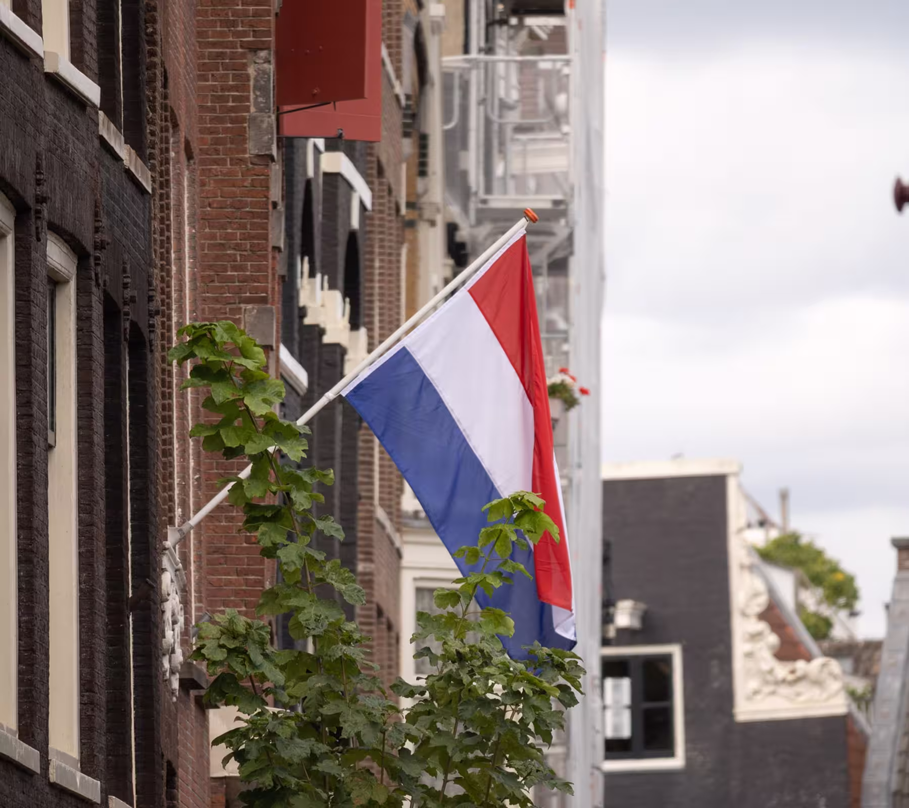 riseup-labs-in-netherlands-partners