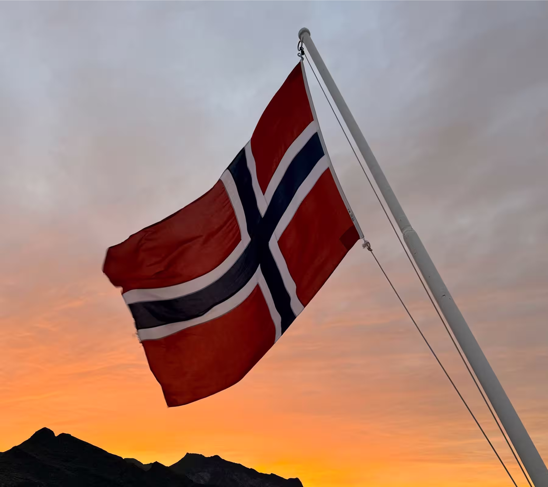 riseup-labs-in-norway-partners