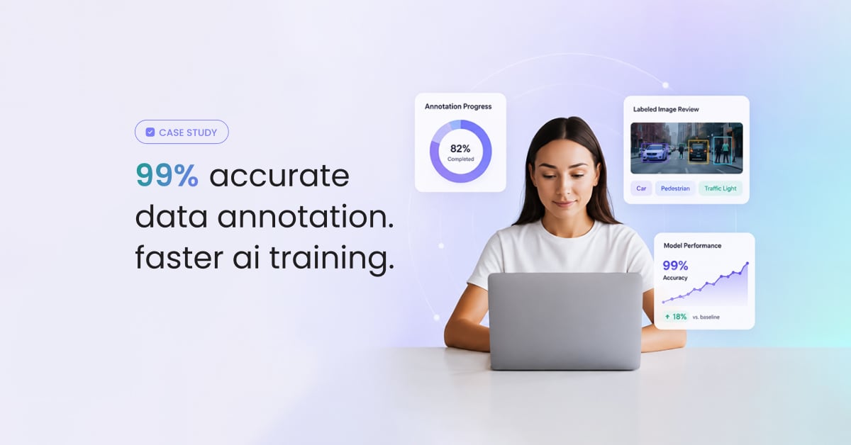 Data Annotation Services Case Study