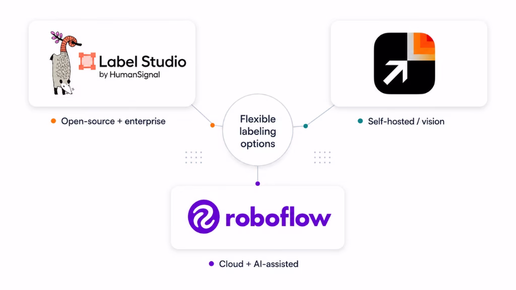 Open-Source and Budget-Friendly Alternatives