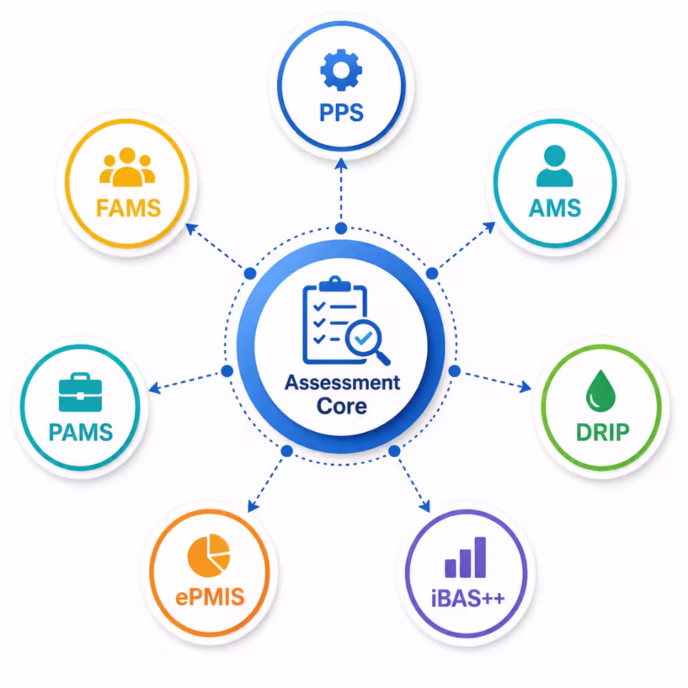 Multi-System Information Systems Assessment