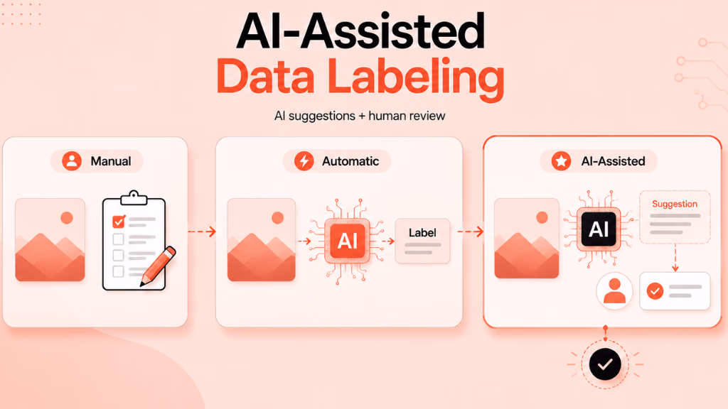 what-is-ai-assisted-data-labeling-riseuplabs