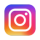 Instagram Icon of Life At Riseup Labs Button